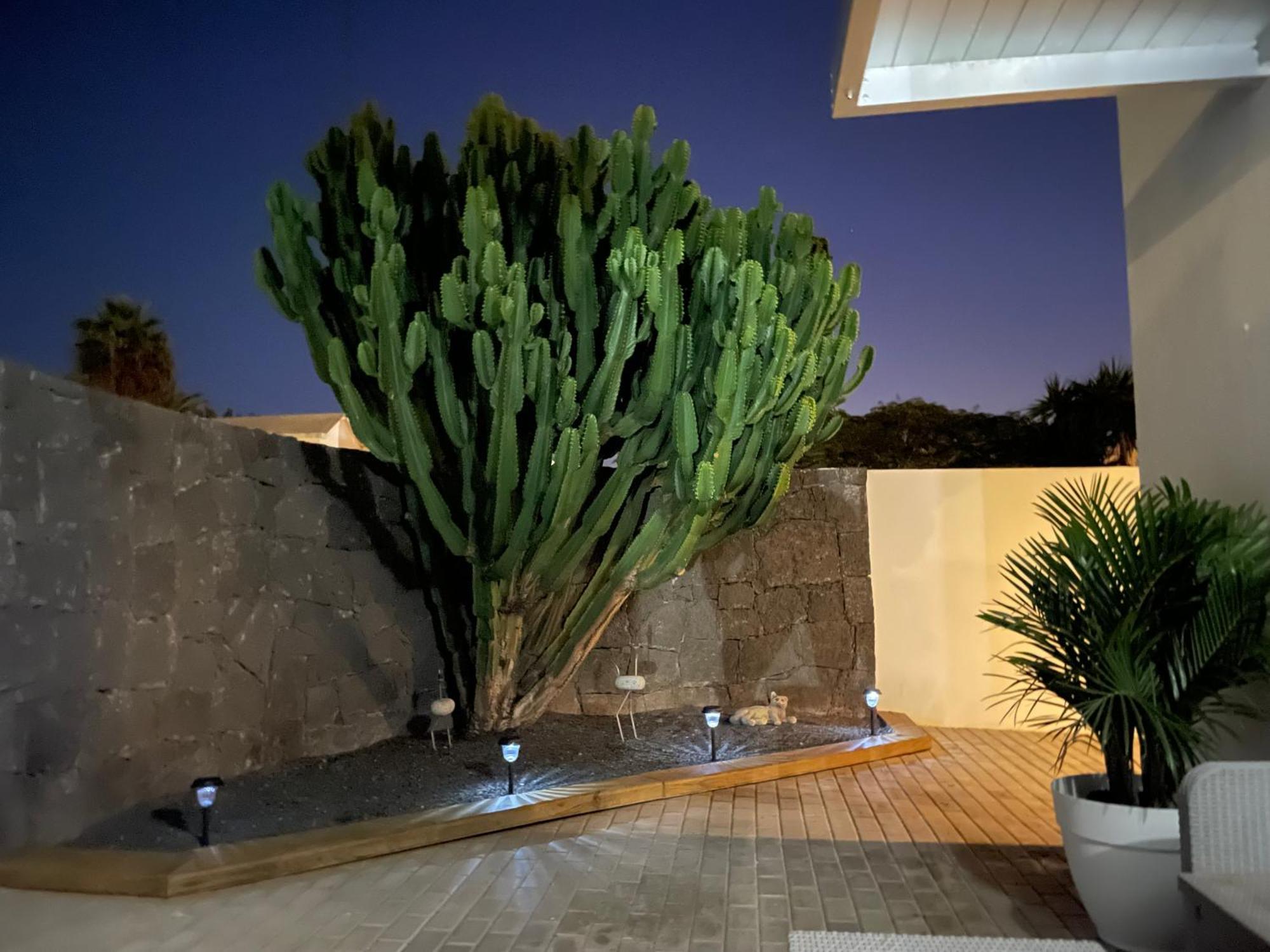 Villa Grey By Vulcano Homes Tahiche Dış mekan fotoğraf
